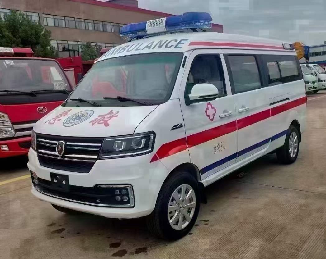 金杯海獅轉(zhuǎn)運(yùn)救護(hù)車